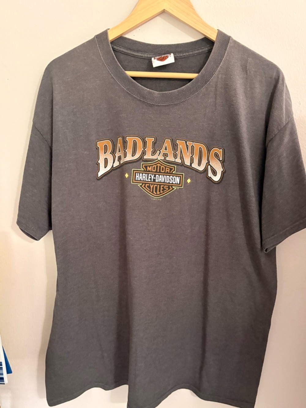 Harley-Davidson Men’s ' Badlands Graphic Tee - Gray